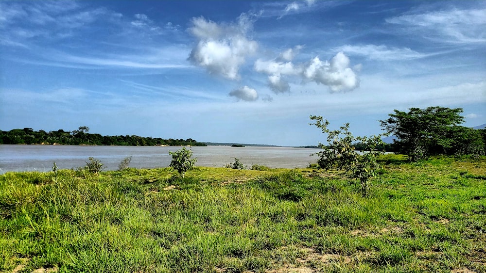 Champ d’herbe verte près du plan d’eau sous un ciel nuageux bleu et blanc pendant la journée