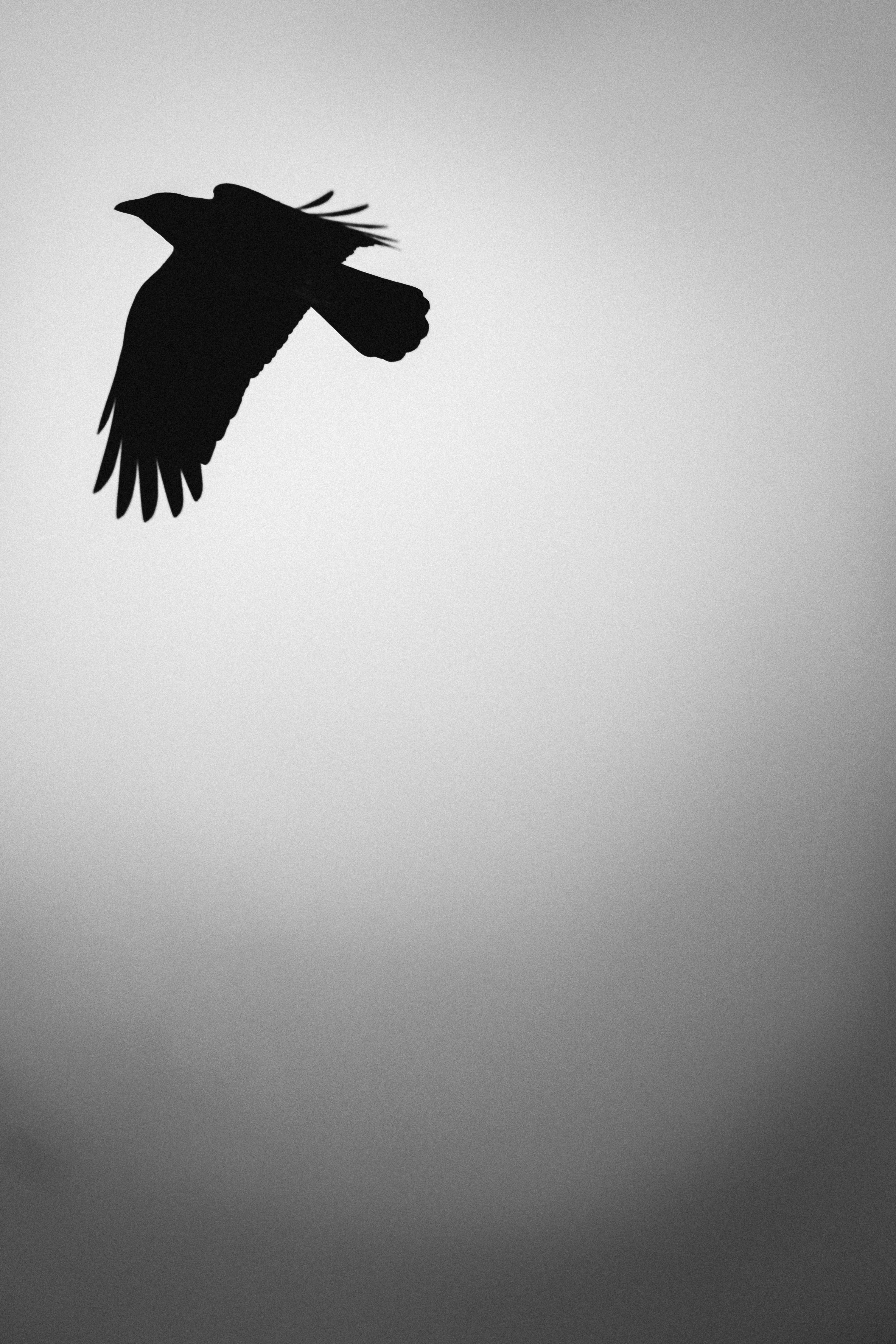 Photo by omrterra