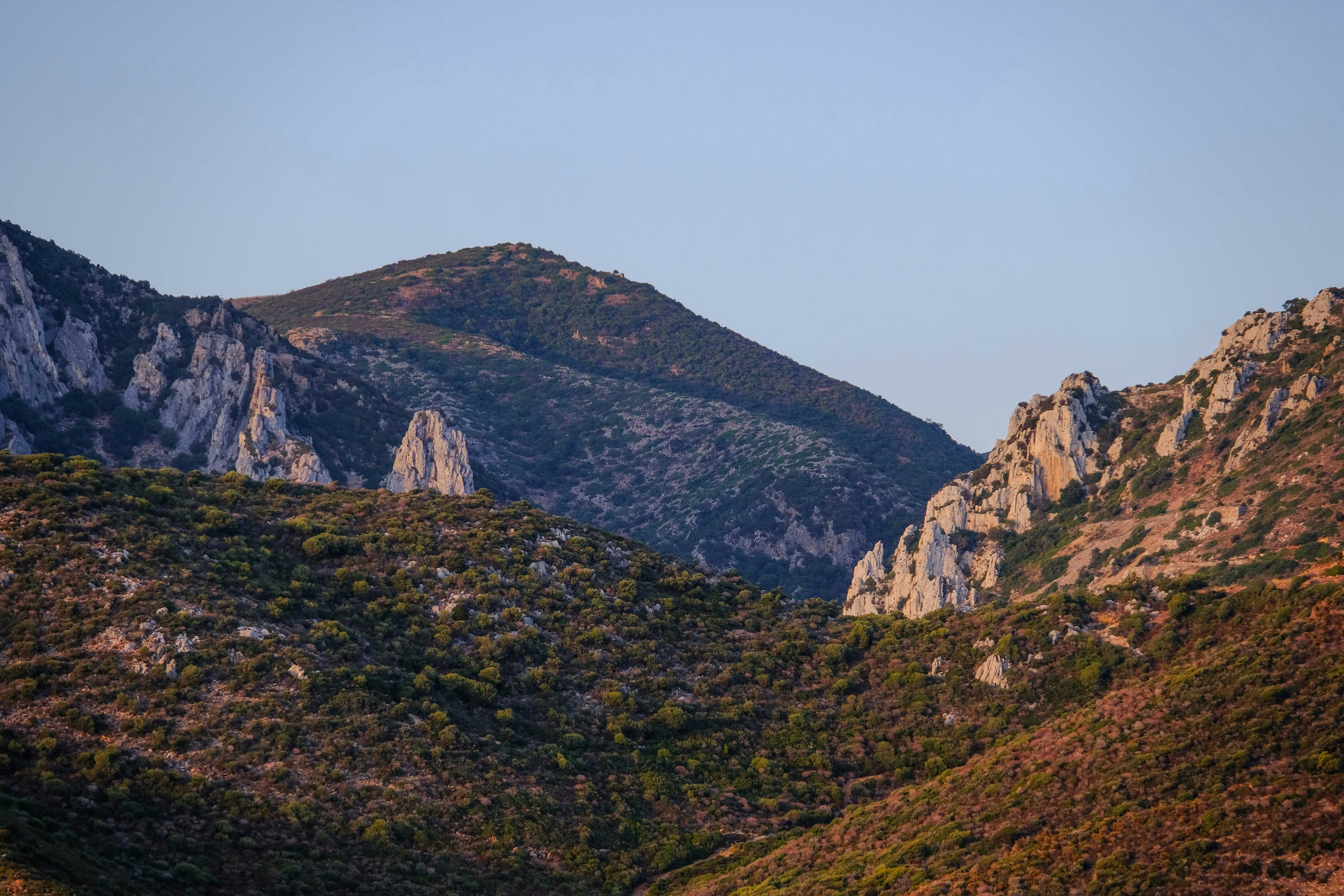 Photo by francesco_ungaro