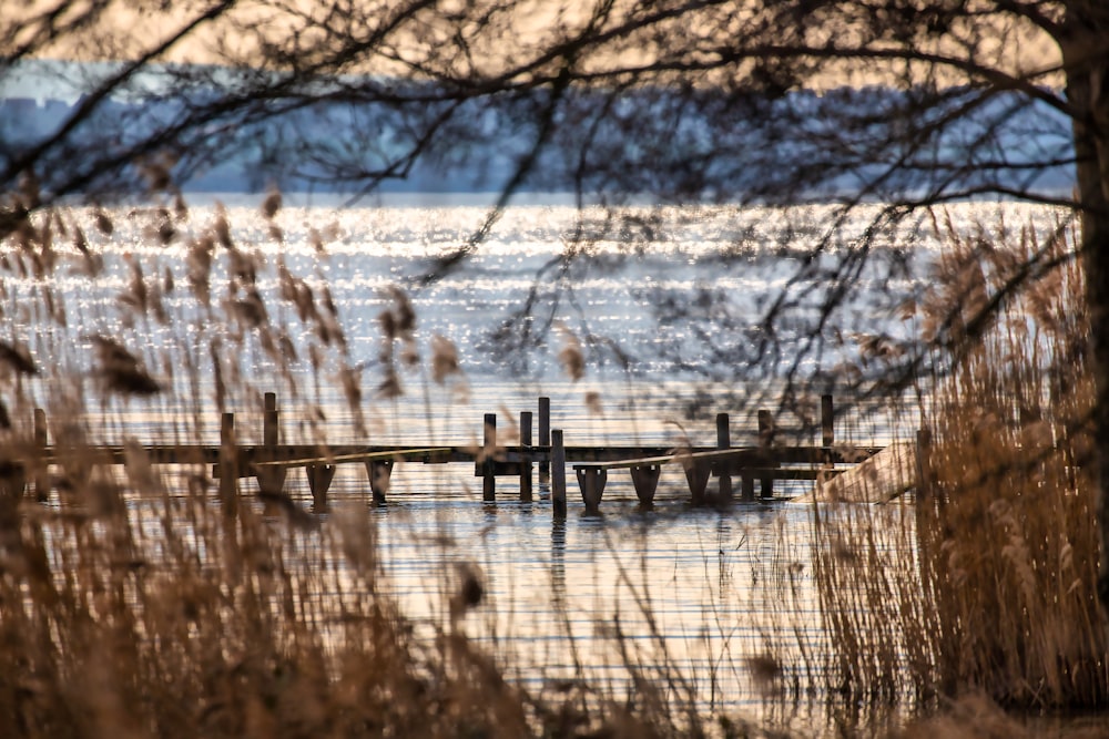 Quai en bois brun sur le lac pendant la journée