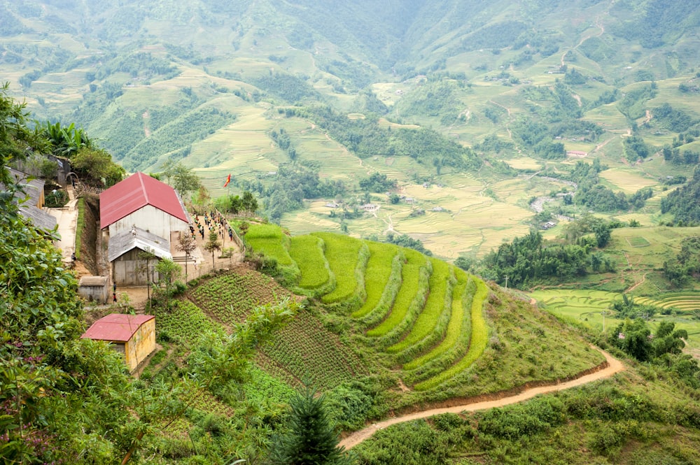 green grass field near houses and mountains during daytime