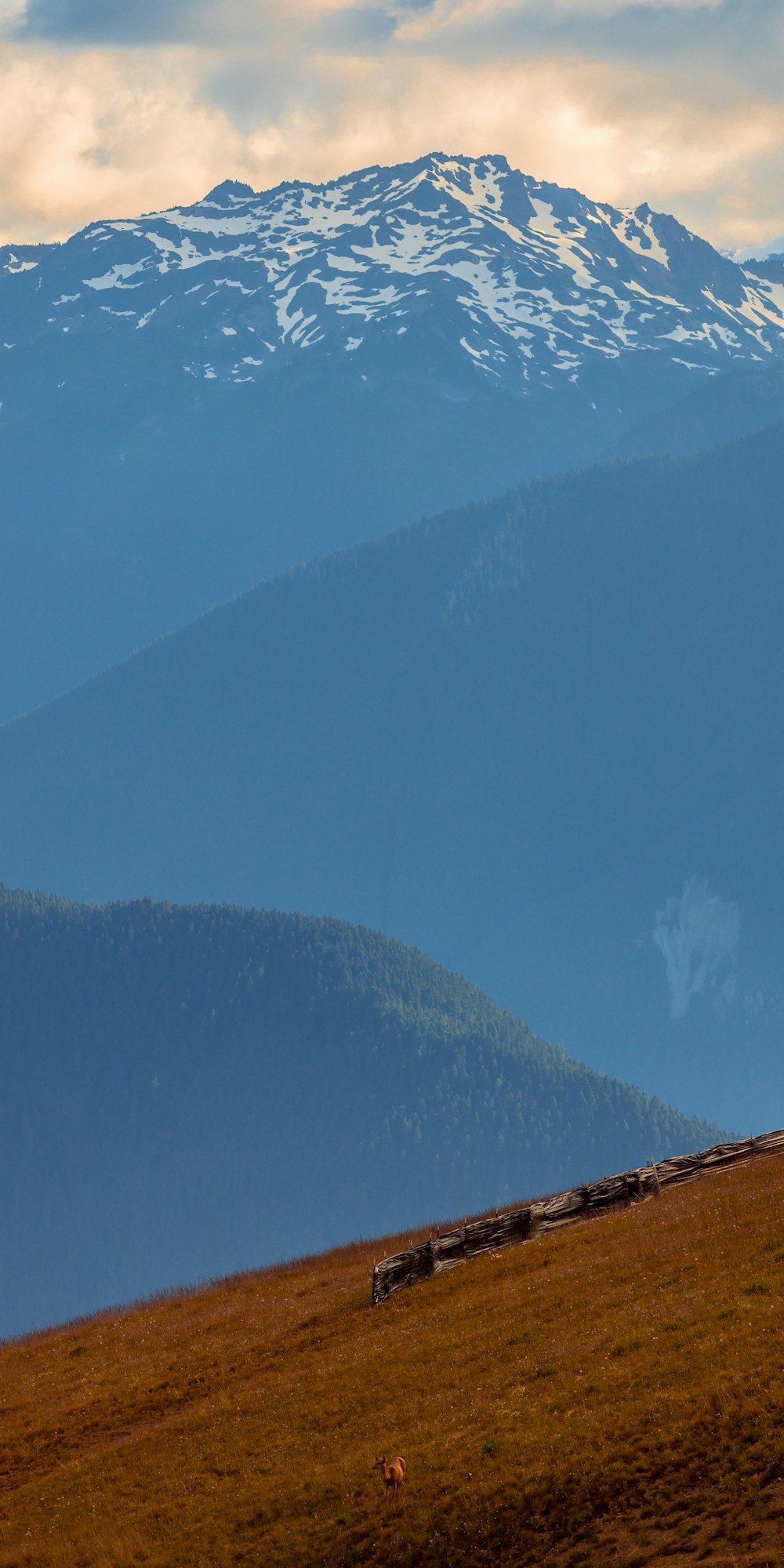 brown wooden house on top of mountain during daytime