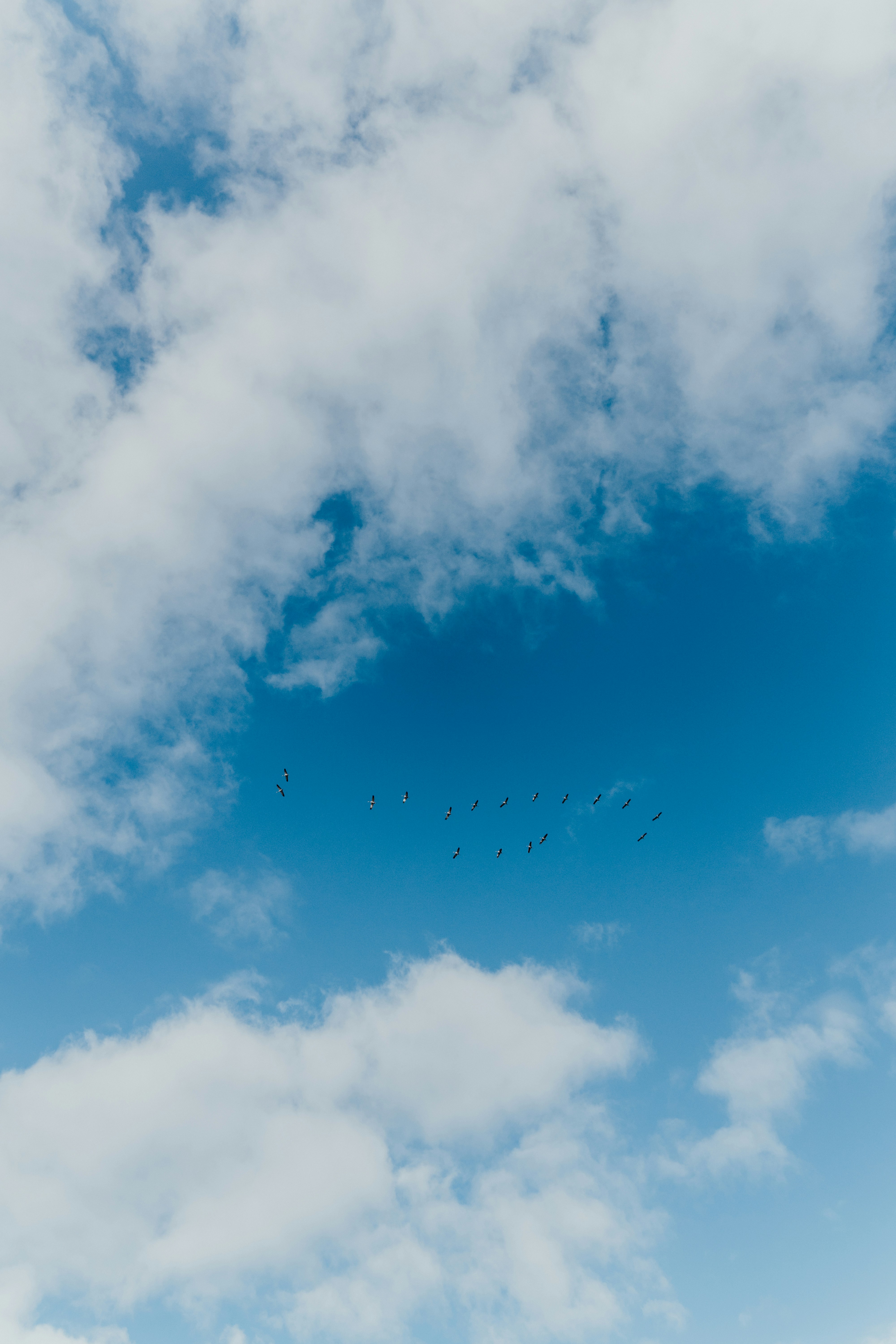 Photo by marinareich