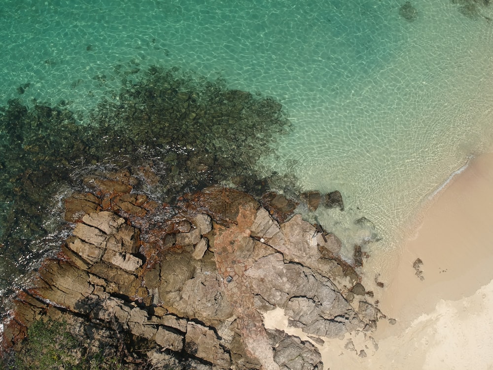 brown rocky shore with green trees and body of water