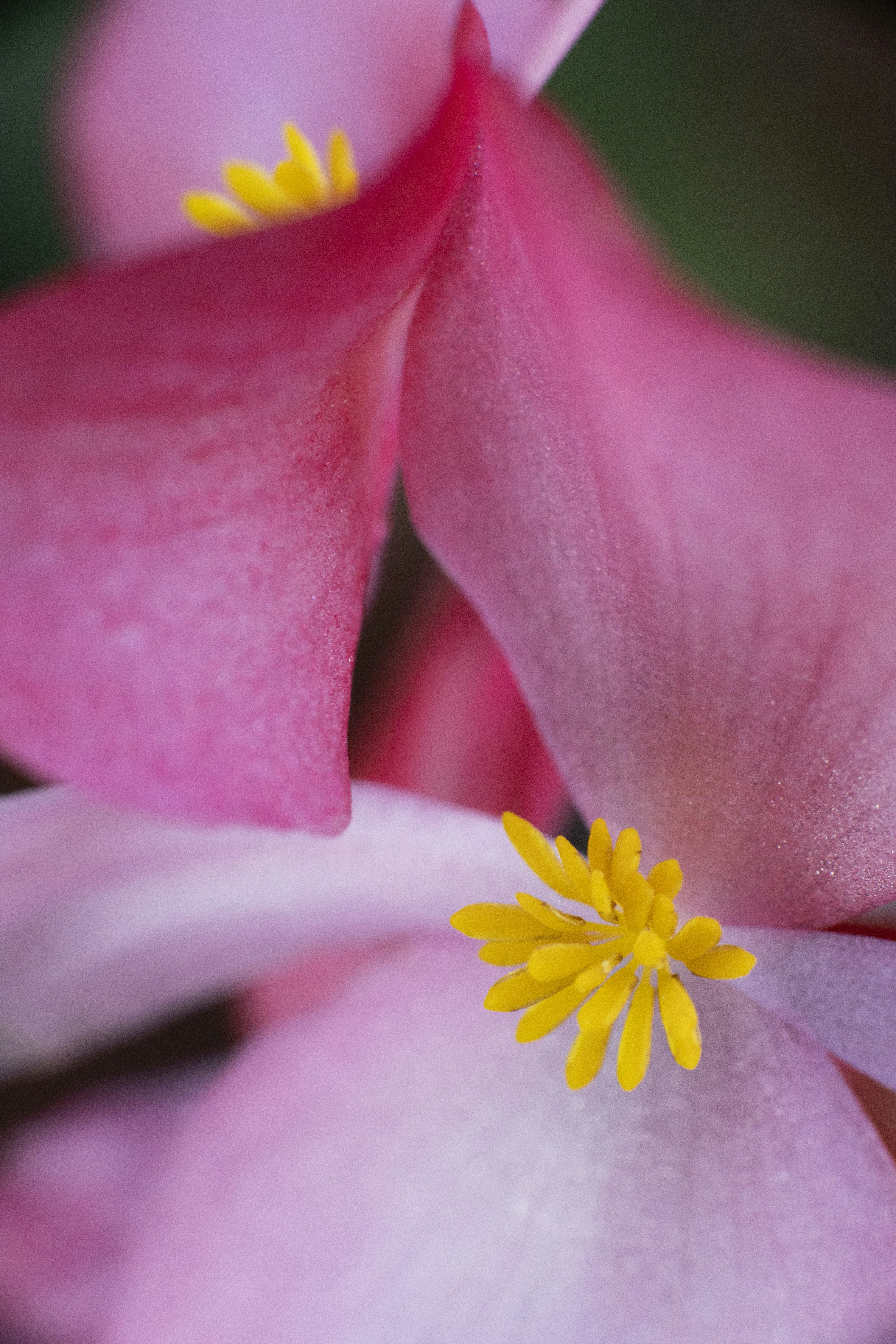 Photo by victor_vector