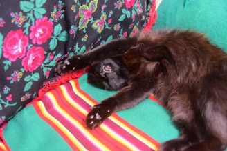 A black cat stretching gracefully on a colorful patchwork quilt.
