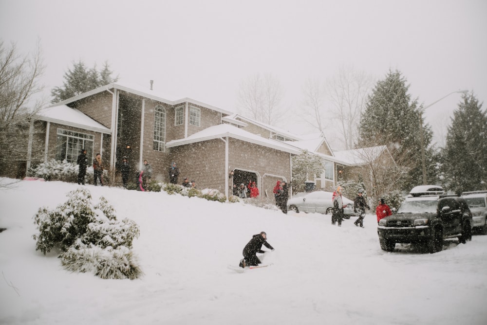 black dog on snow covered ground