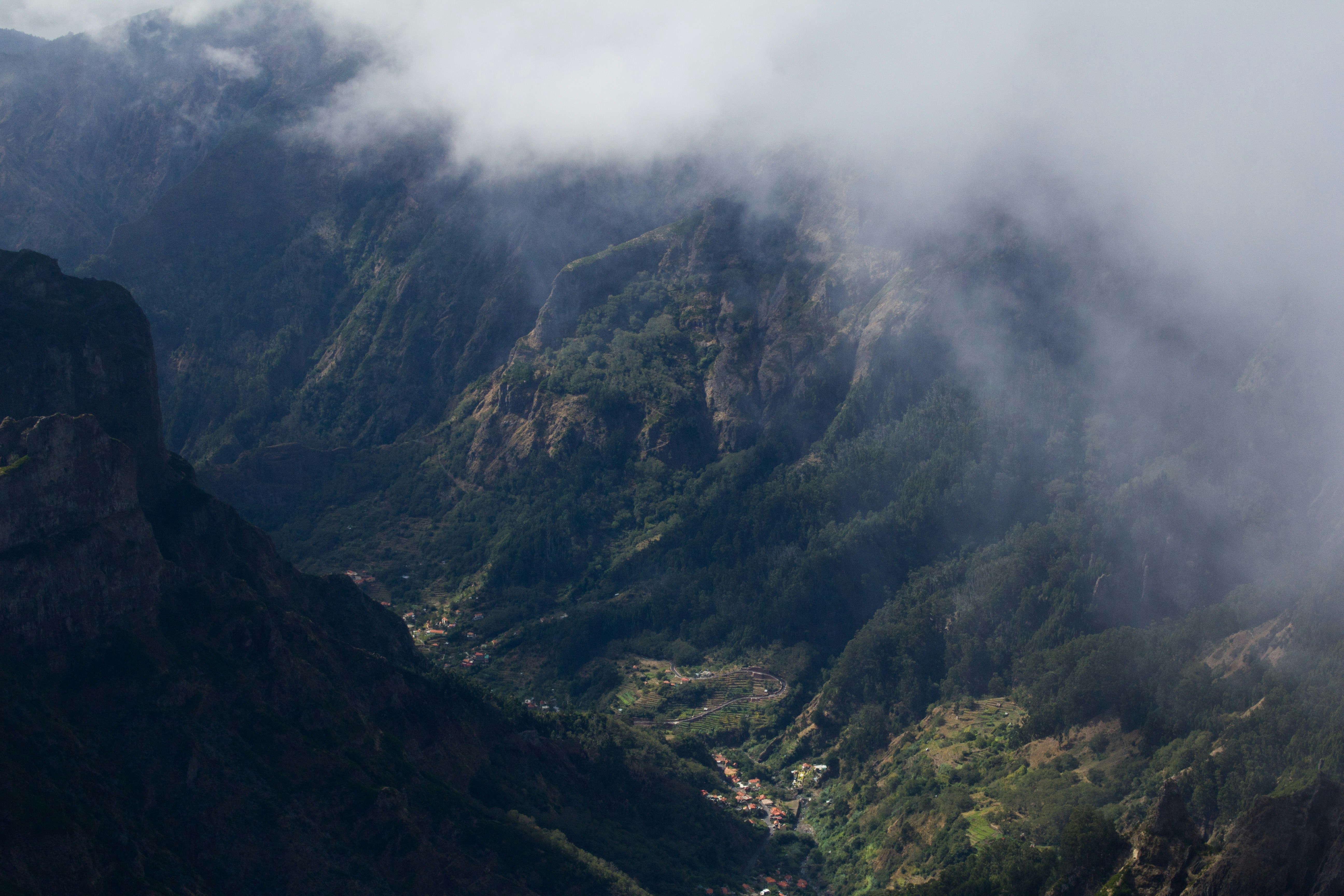 Photo by needfultosay