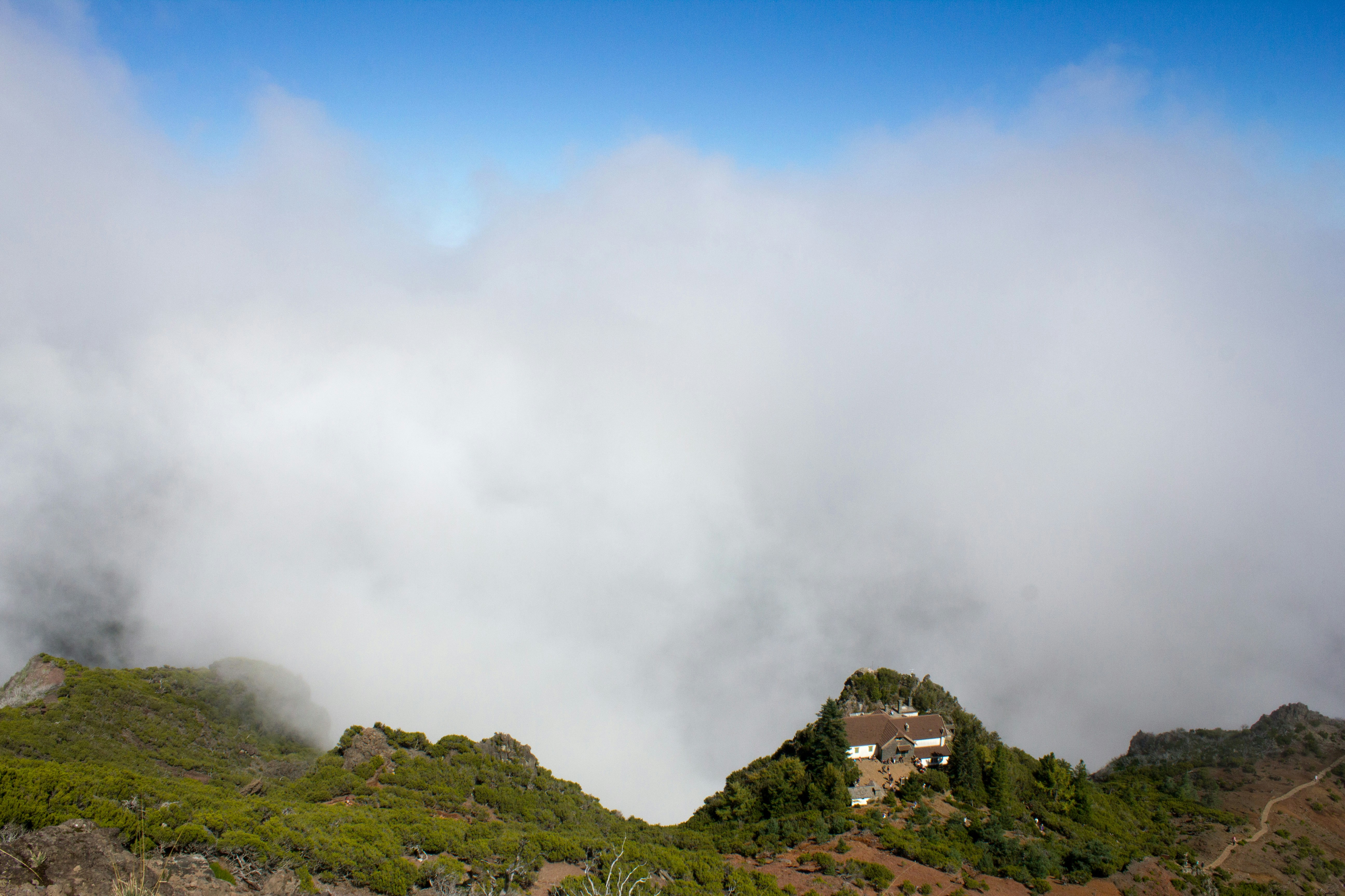 Photo by needfultosay