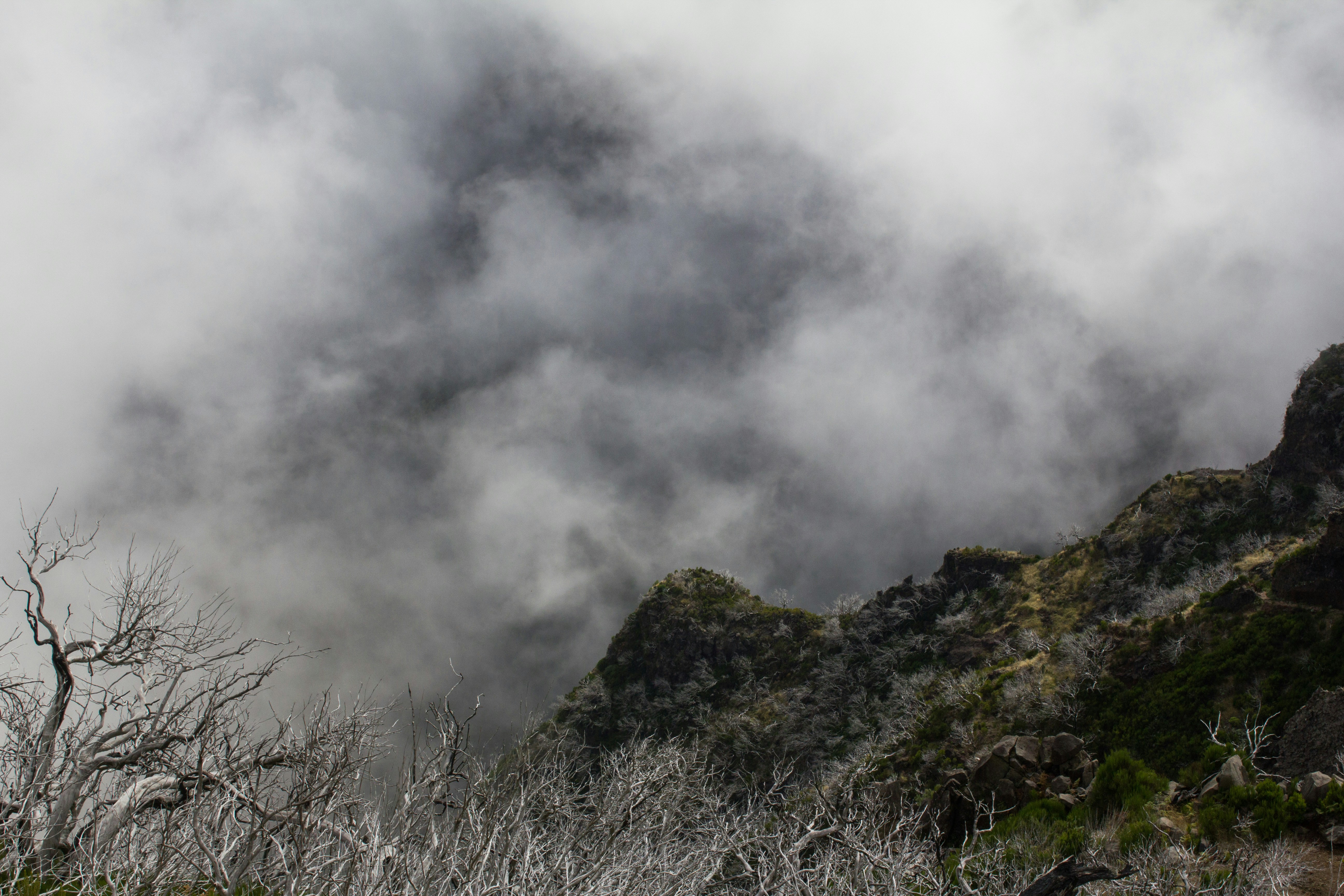 Photo by needfultosay