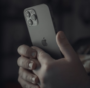 person holding silver iphone 6