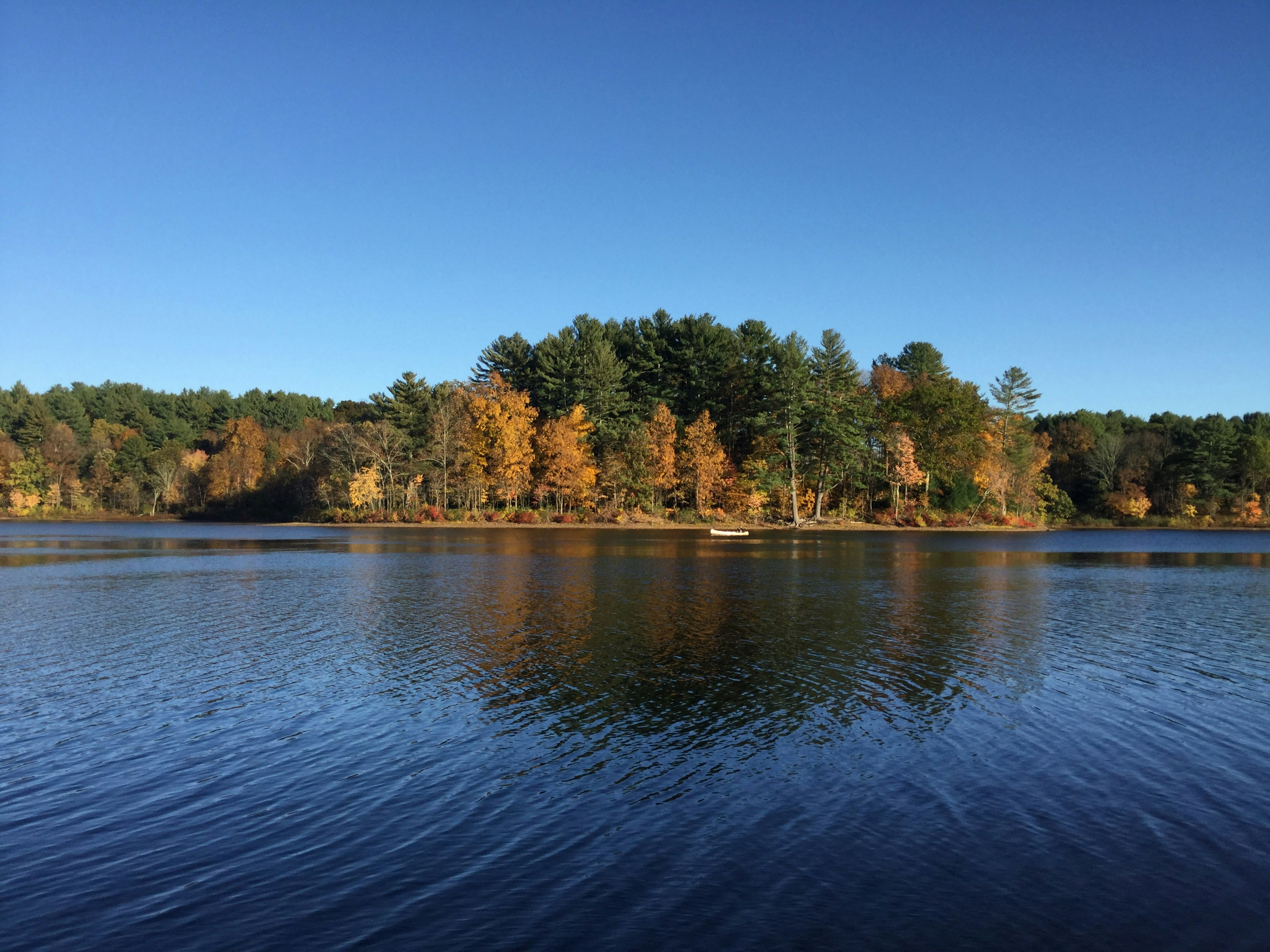 Photo by ysabellaray