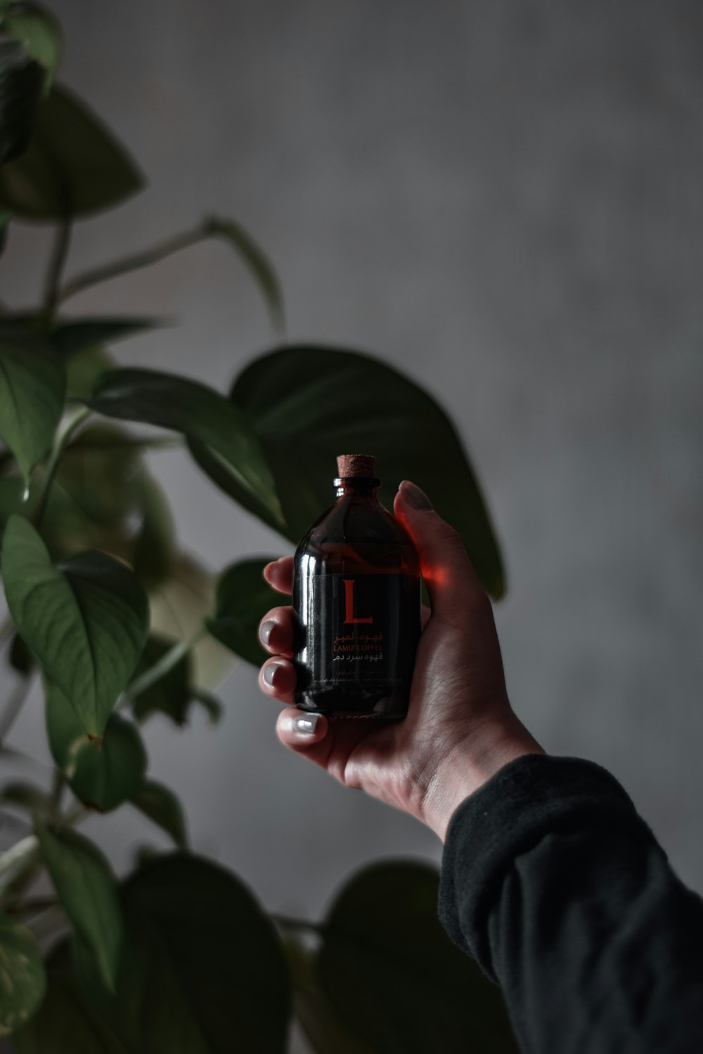 person holding red glass bottle