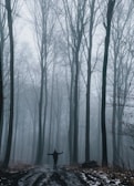 A shadowy figure standing at the edge of a foggy forest path.