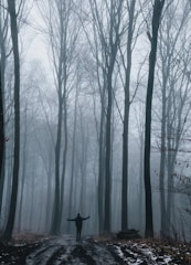 A serene image of a person standing at a crossroads in a misty forest, symbolizing choice and inner journey.