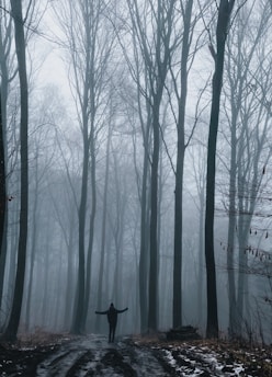 A serene image of a person standing at a crossroads in a misty forest, symbolizing choice and inner journey.