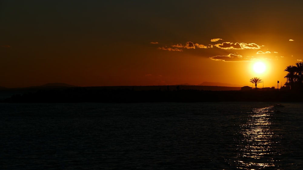 silhouette of birds flying over the sea during sunset