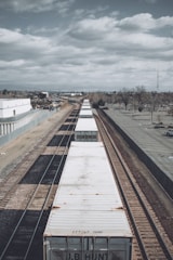 white and brown wooden bridge