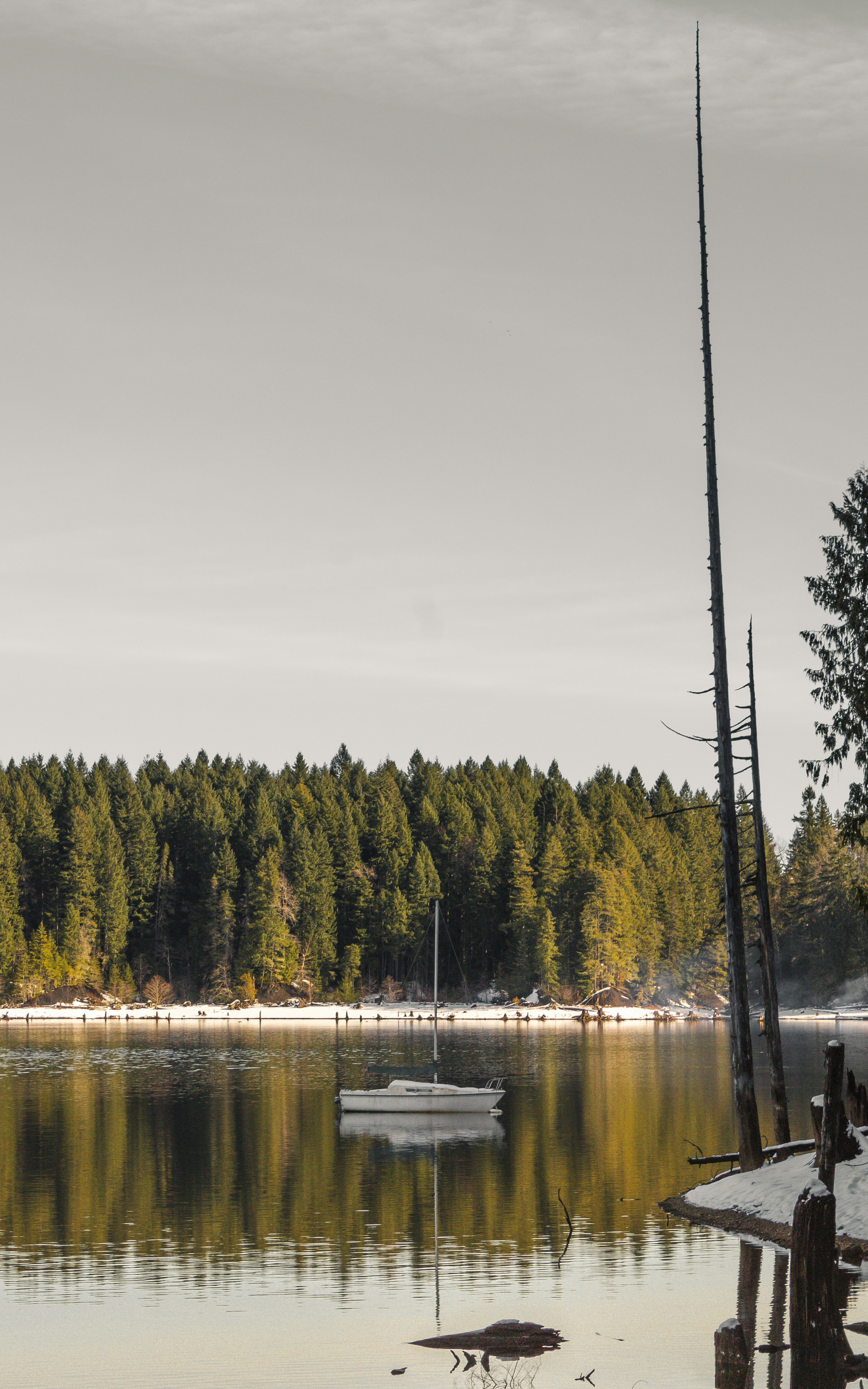 Photo by colefreeman