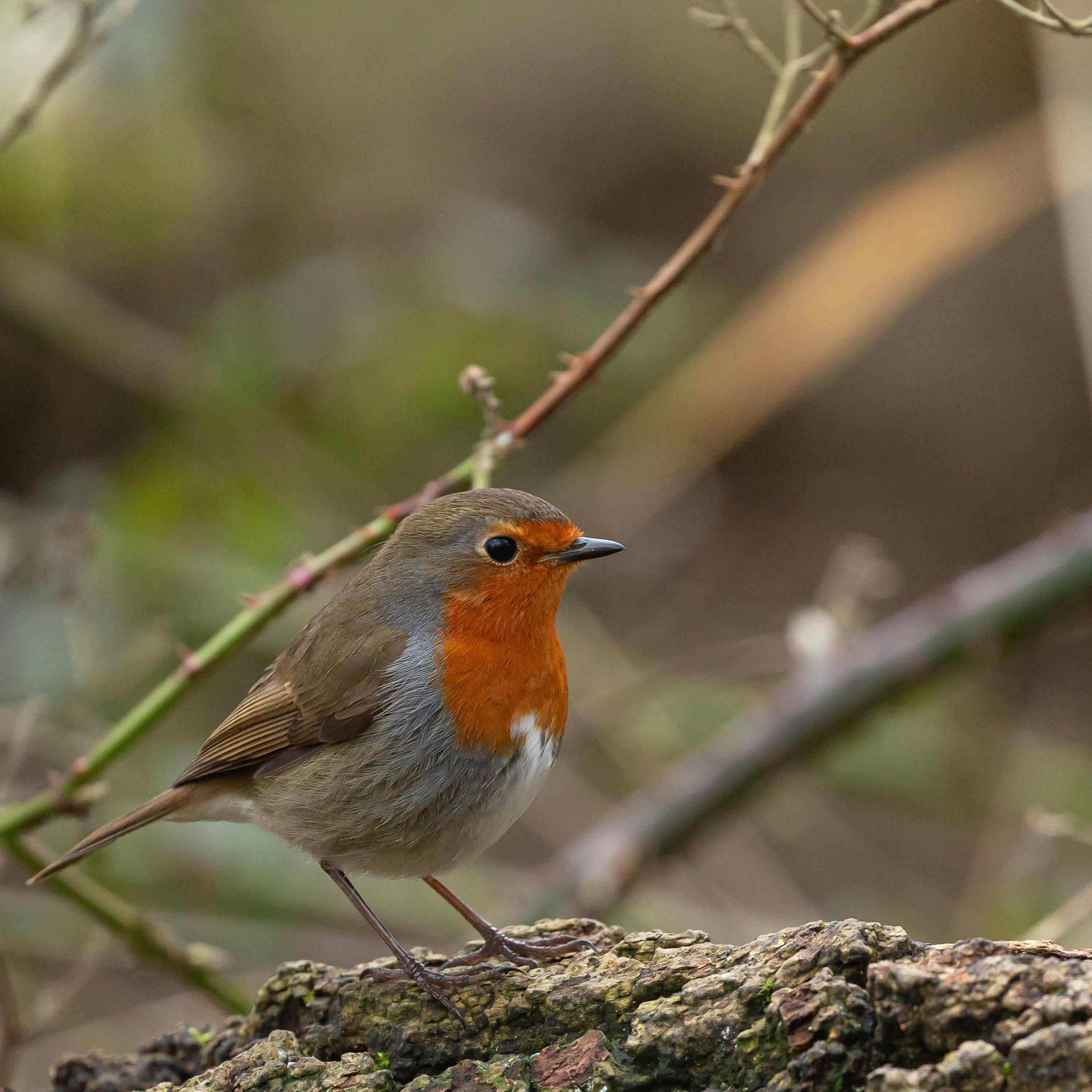 Photo by itscakefortea