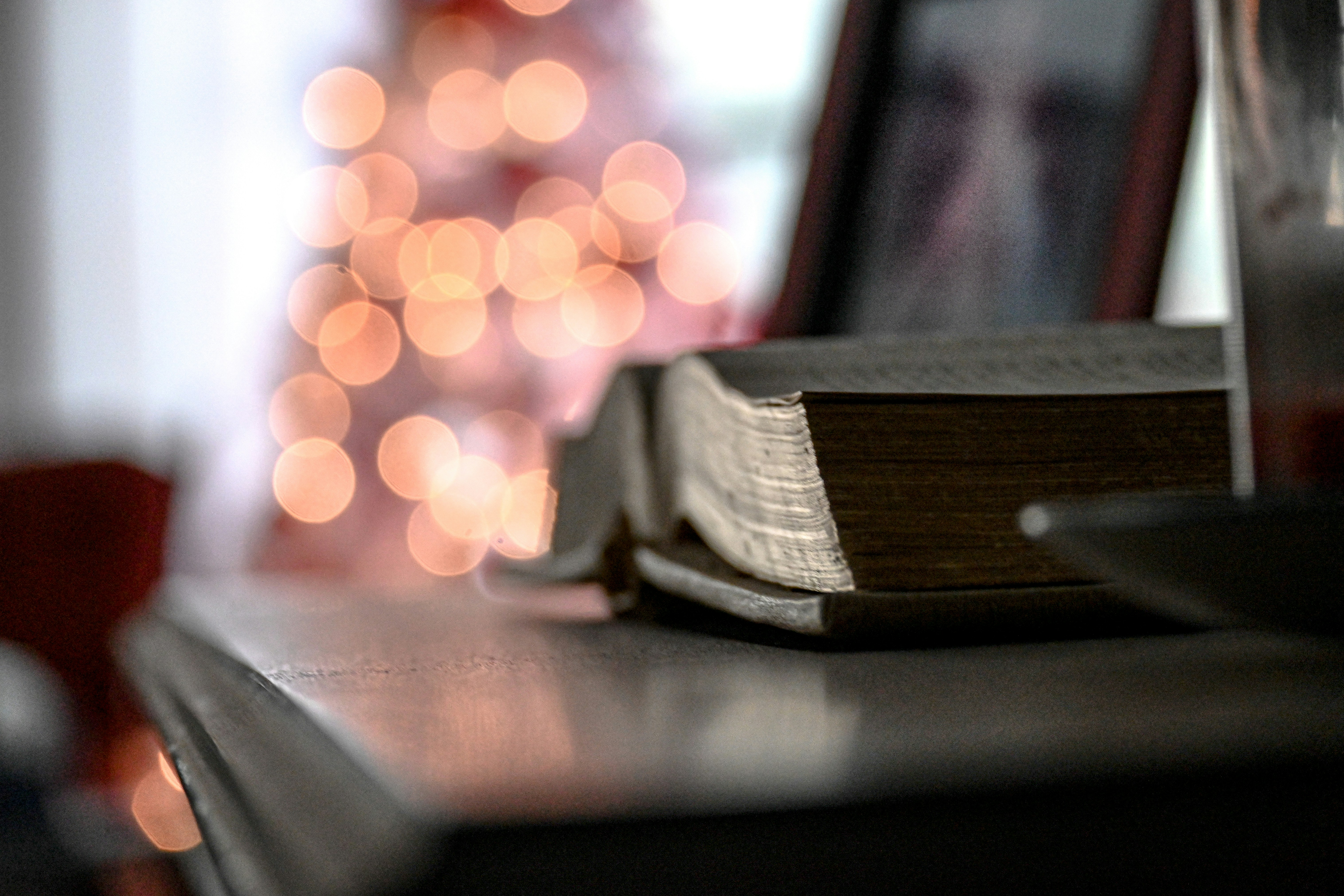 Photo by aquintero210