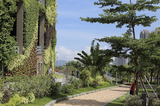 A lush urban environment with a building covered in green foliage. A sidewalk is bordered by well-maintained grass and various trees. People can be seen walking in the distance, and tall buildings appear in the background under a clear blue sky.