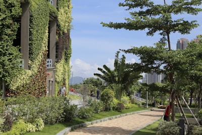 A lush urban environment with a building covered in green foliage. A sidewalk is bordered by well-maintained grass and various trees. People can be seen walking in the distance, and tall buildings appear in the background under a clear blue sky.