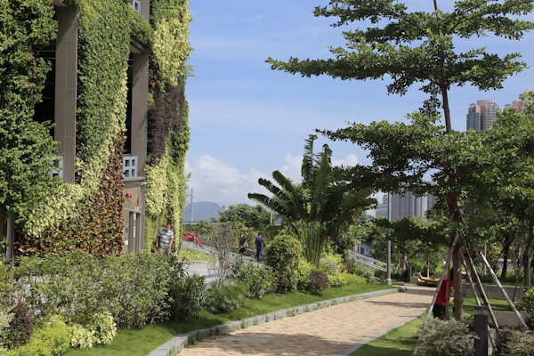 Photo 1613606984169 B60aa8e4cdcd?q=85&w=800&h=400&fit=crop