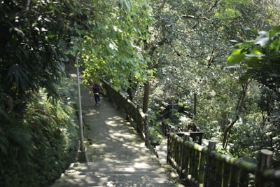 A narrow, shaded pathway winds through a dense forest with lush green foliage. The path is bordered by a bamboo railing. A person wearing a backpack and holding walking poles is visible walking along the path, surrounded by various tree species and ferns.