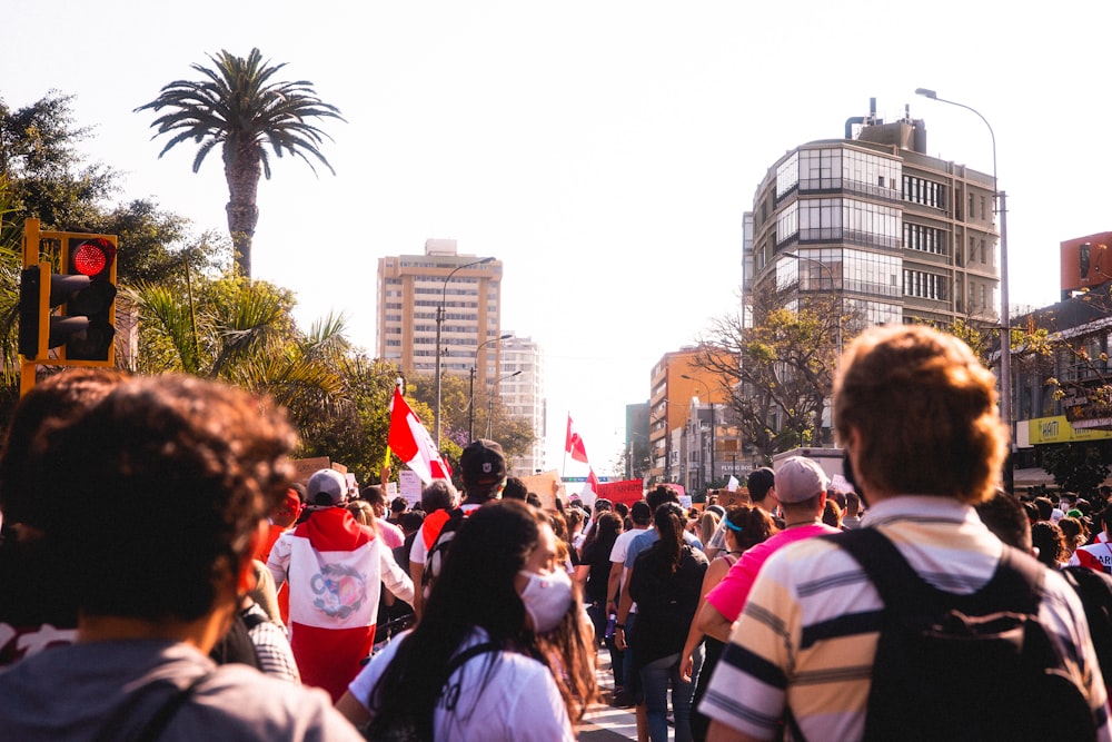 people walking on street during daytime