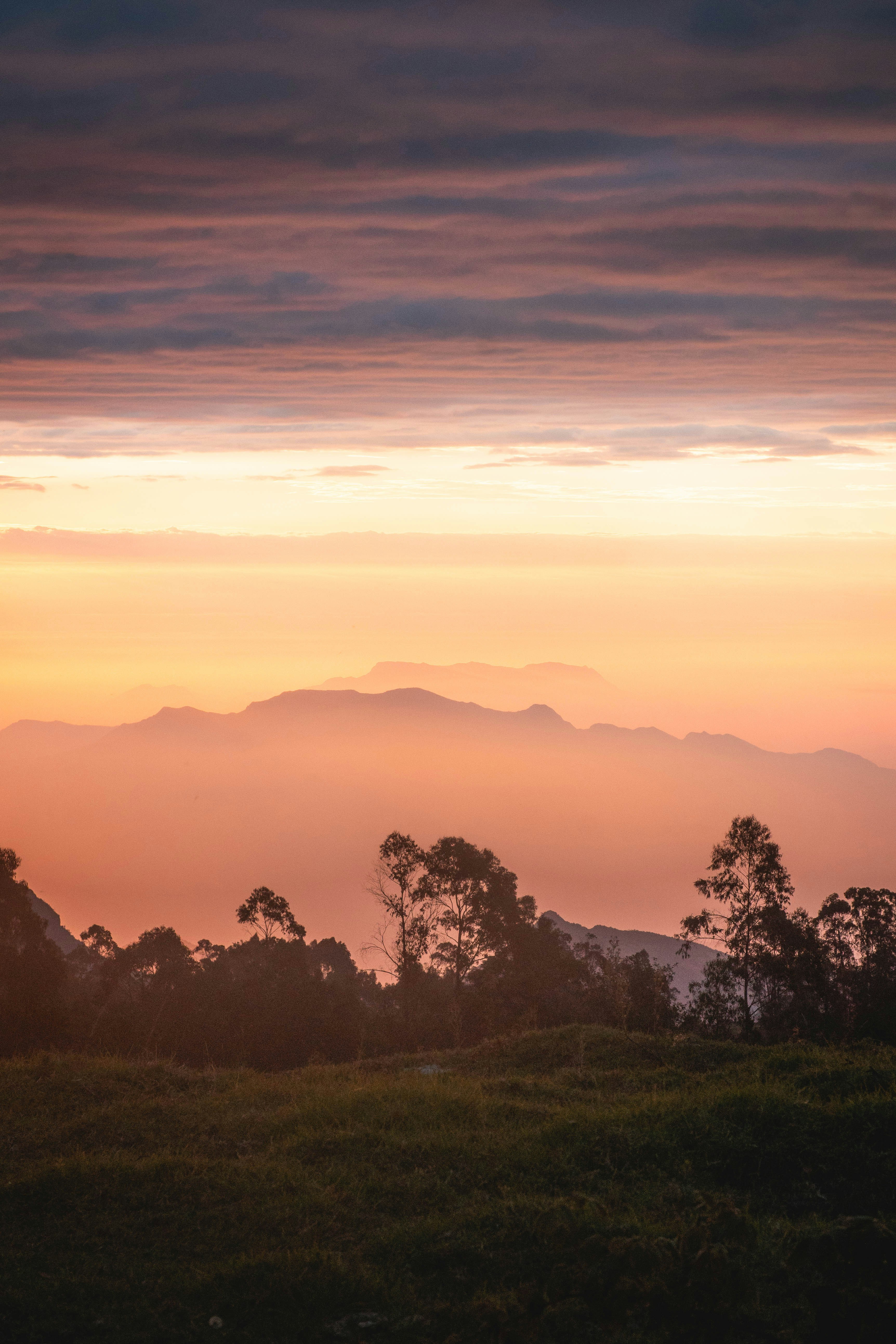 Photo by xapalacioscx