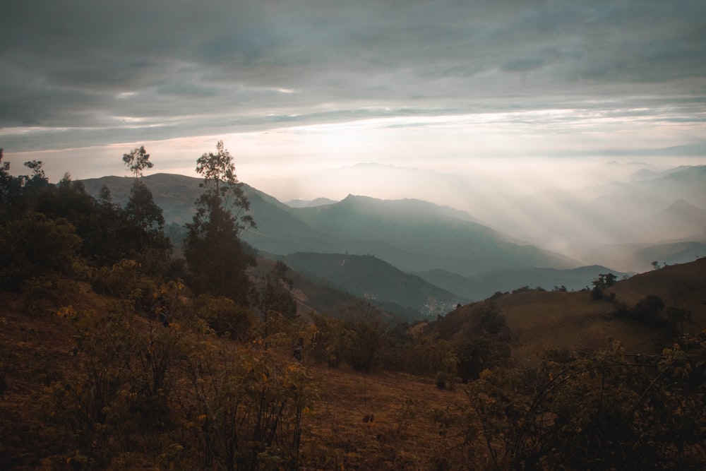 green trees on mountain under white clouds during daytime