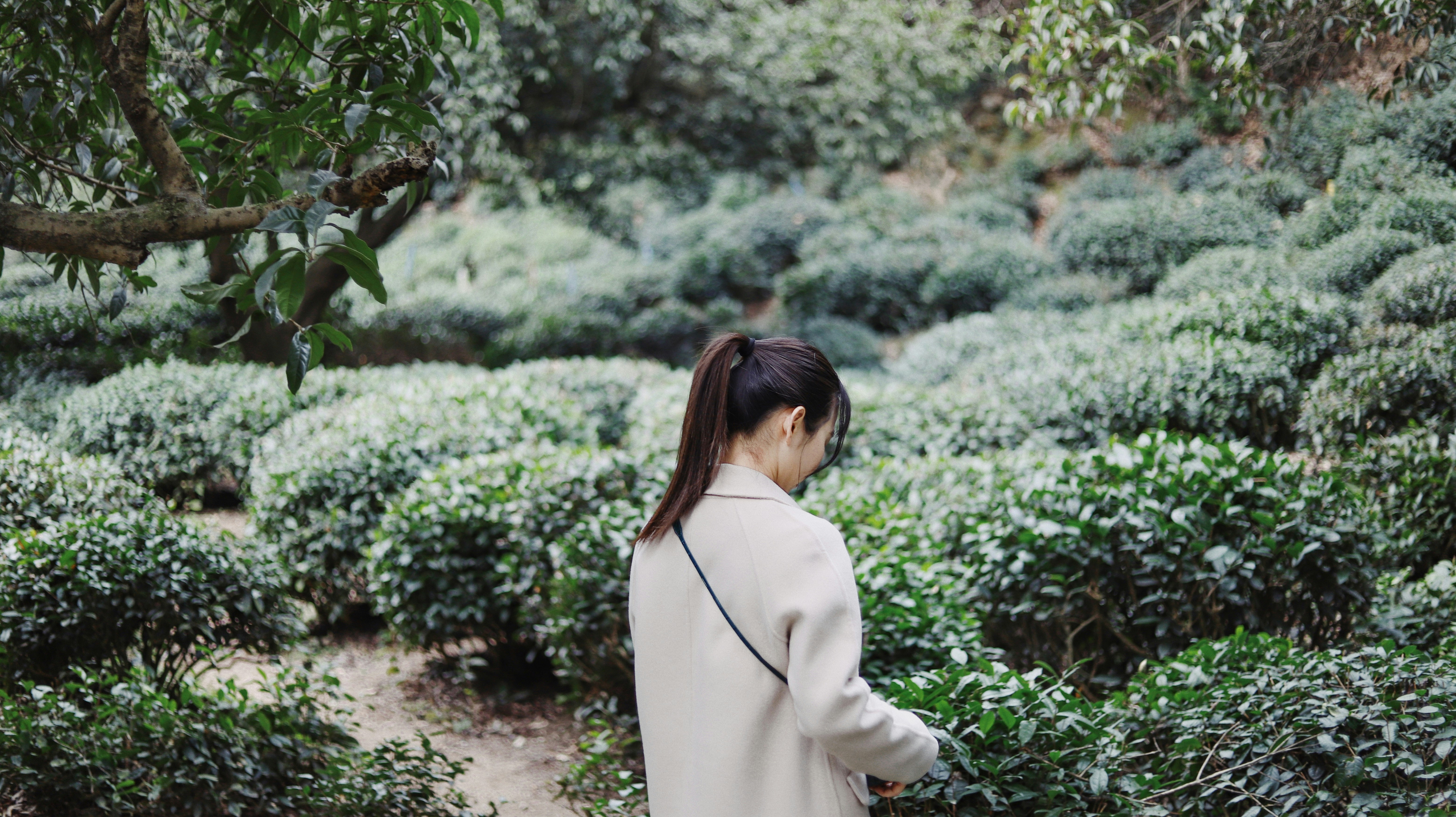 Photo by wx1993