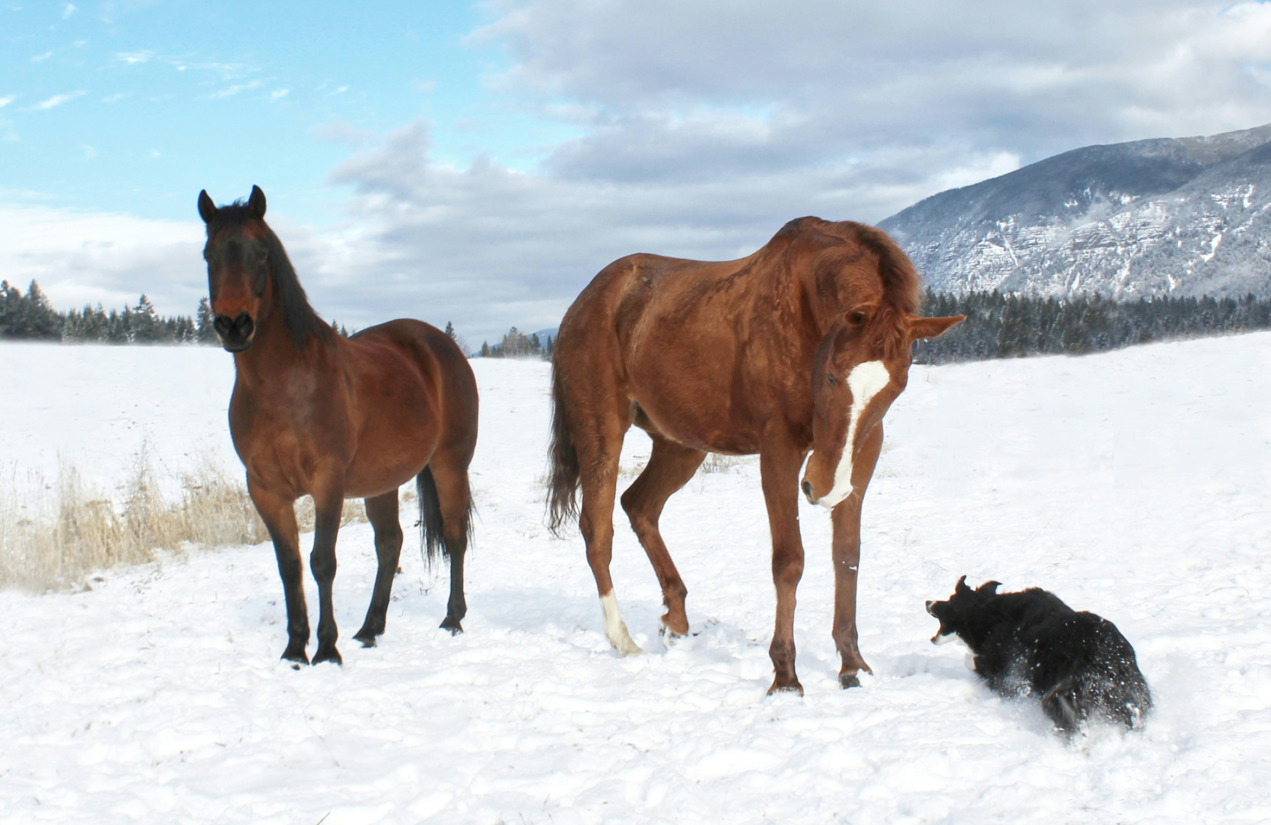 Photo by frozenmoments