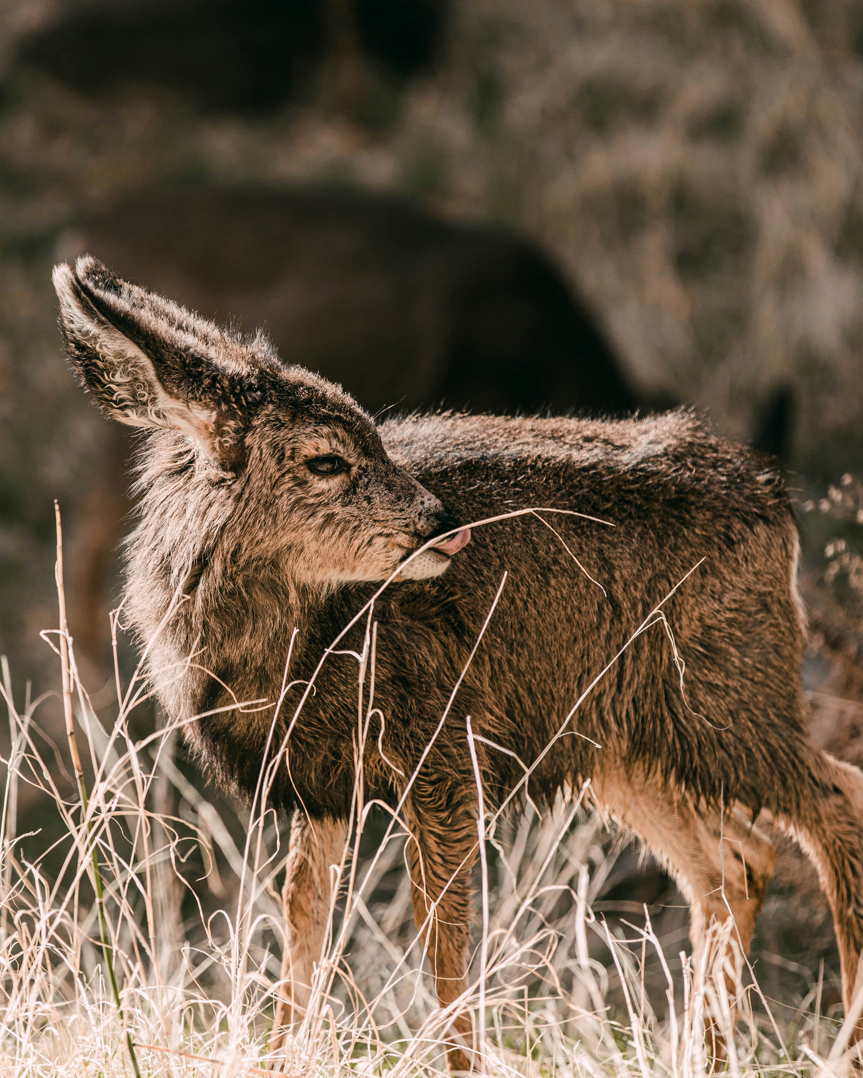 Photo by tabithaturnervisuals