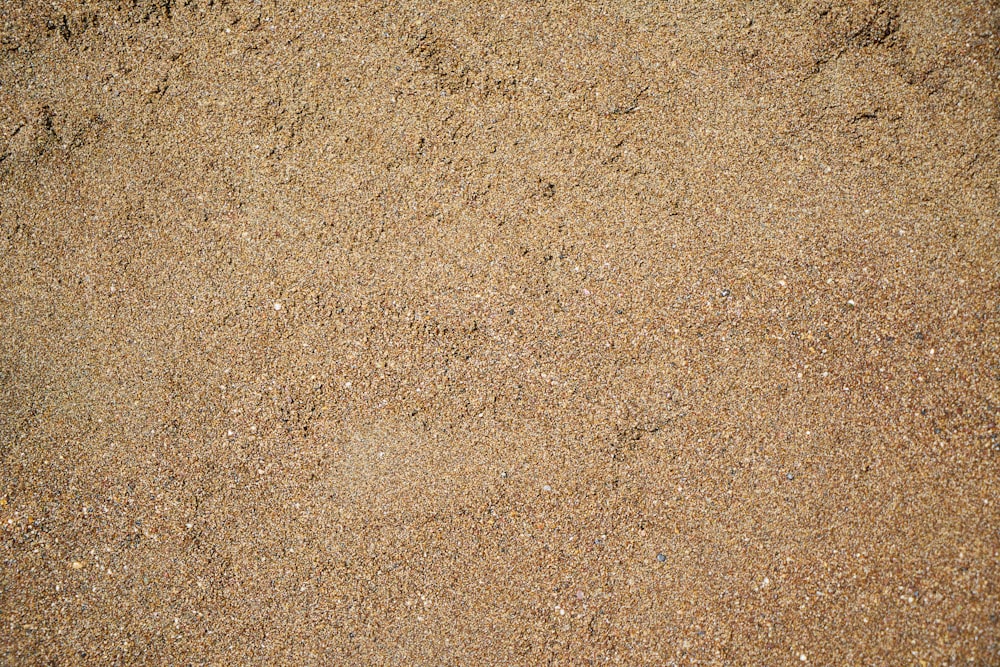 Person in schwarzen Schuhen auf braunem Sand stehend