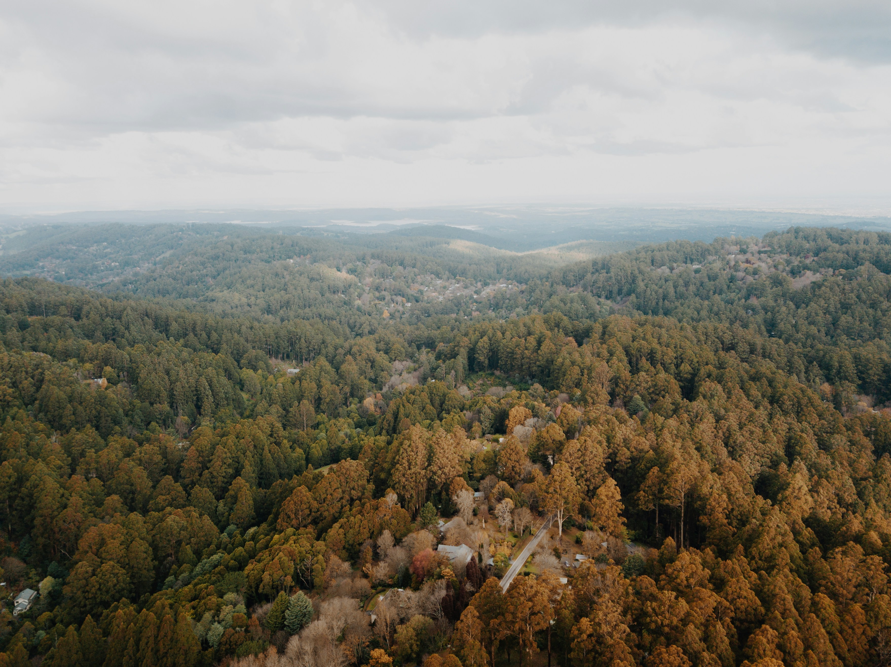 Photo by i_am_simoesse