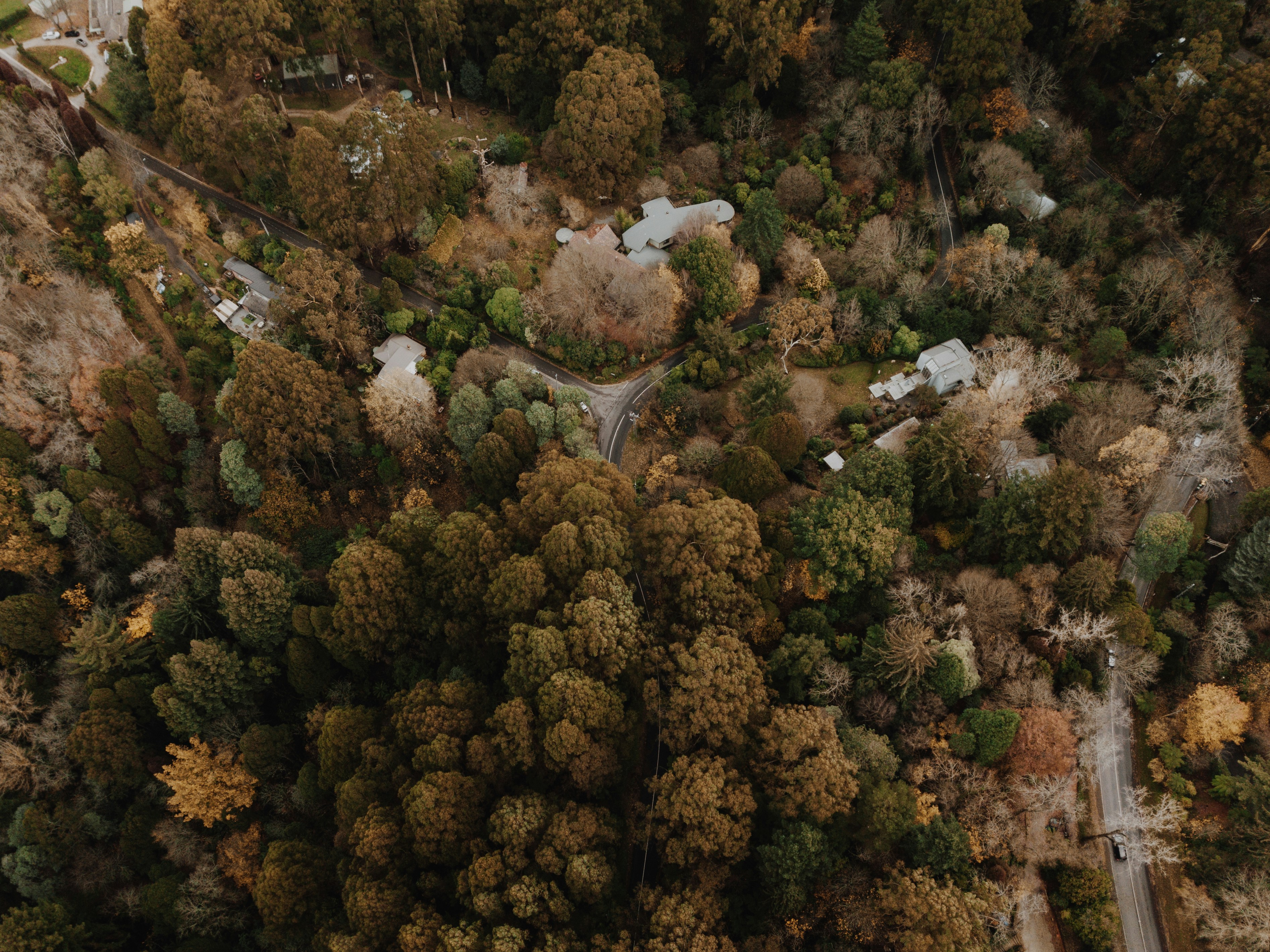 Photo by i_am_simoesse