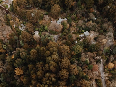 Aerial view of a wooded lot surrounded by nature.