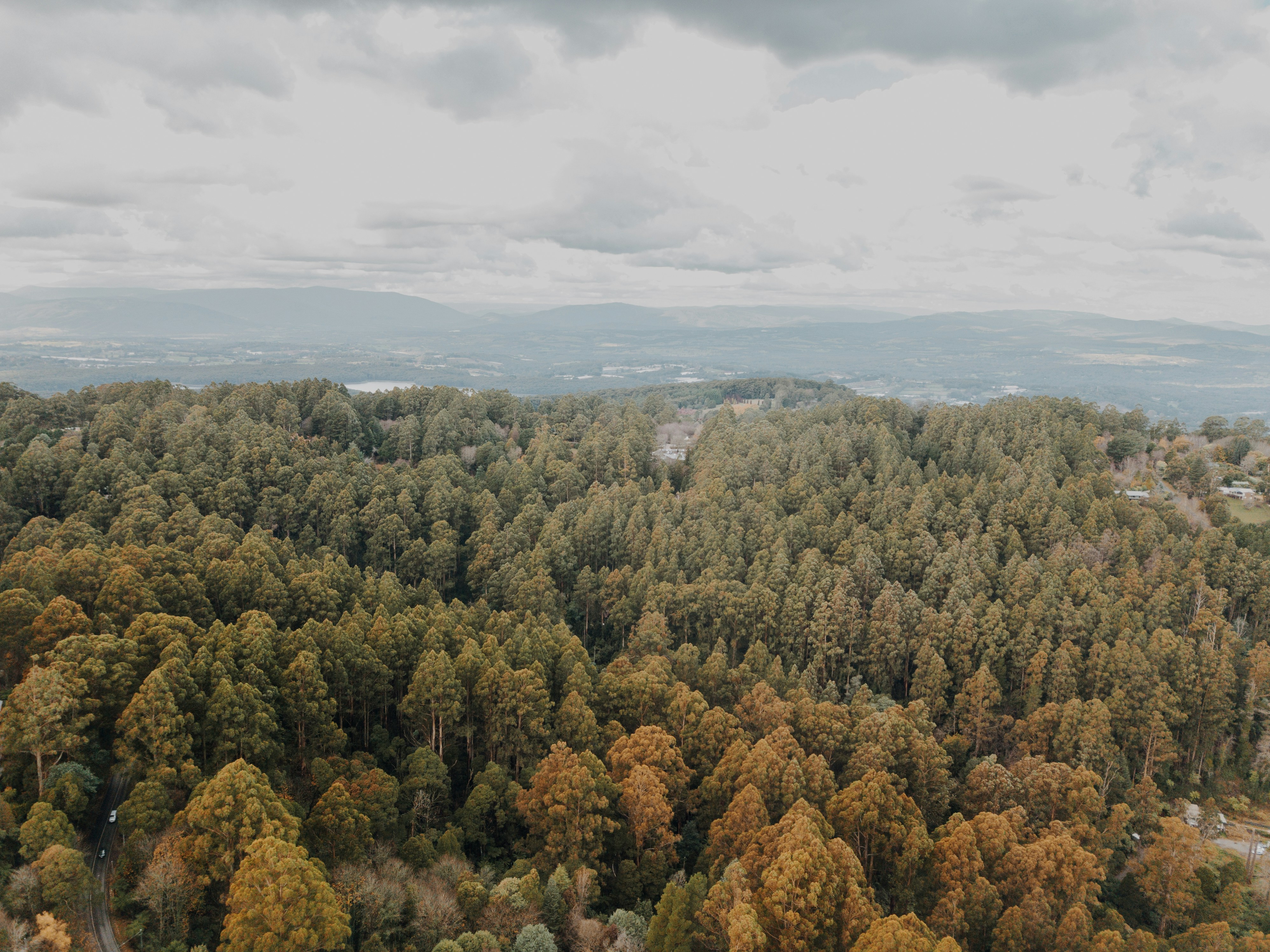 Photo by i_am_simoesse