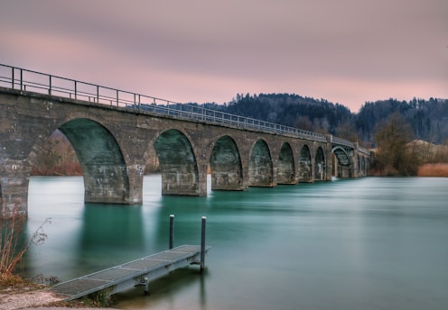 A serene animal bridge connecting two landscapes.
