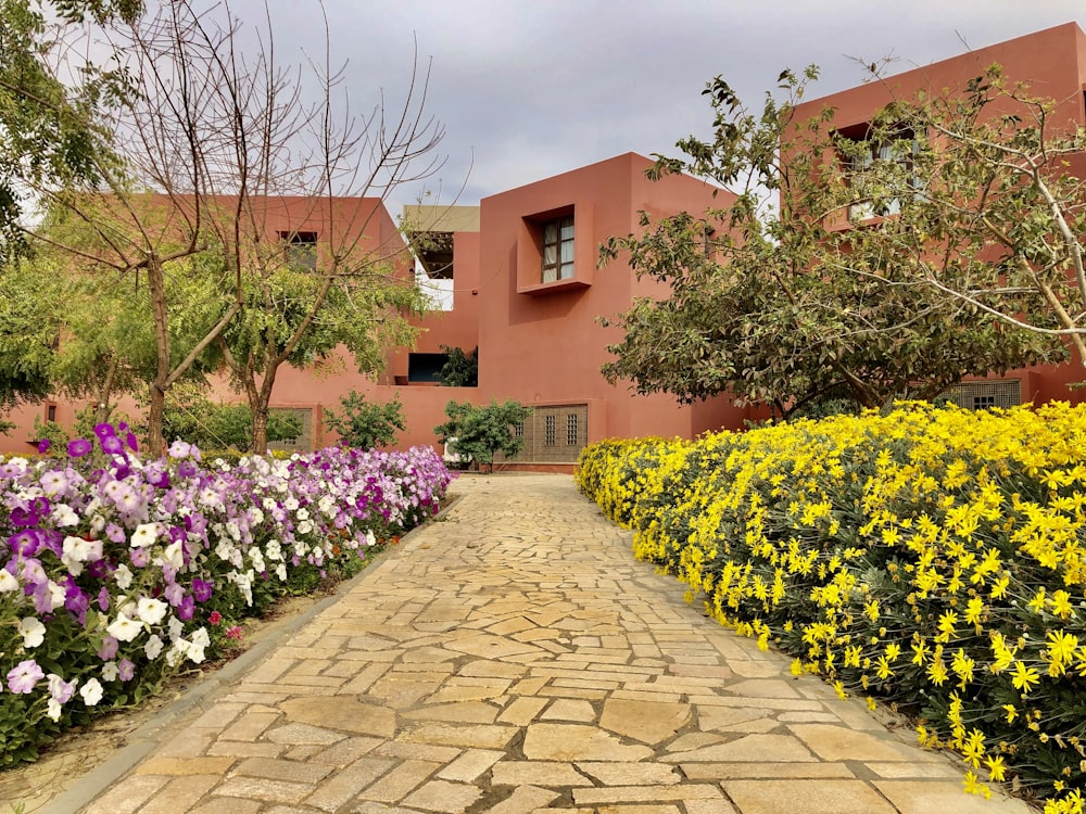 yellow and pink flowers on garden