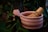 A pink ceramic bowl contains a bamboo whisk, surrounded by lush green leaves. The setting has a serene and natural ambiance with a focus on the interaction of the ceramic and organic elements.