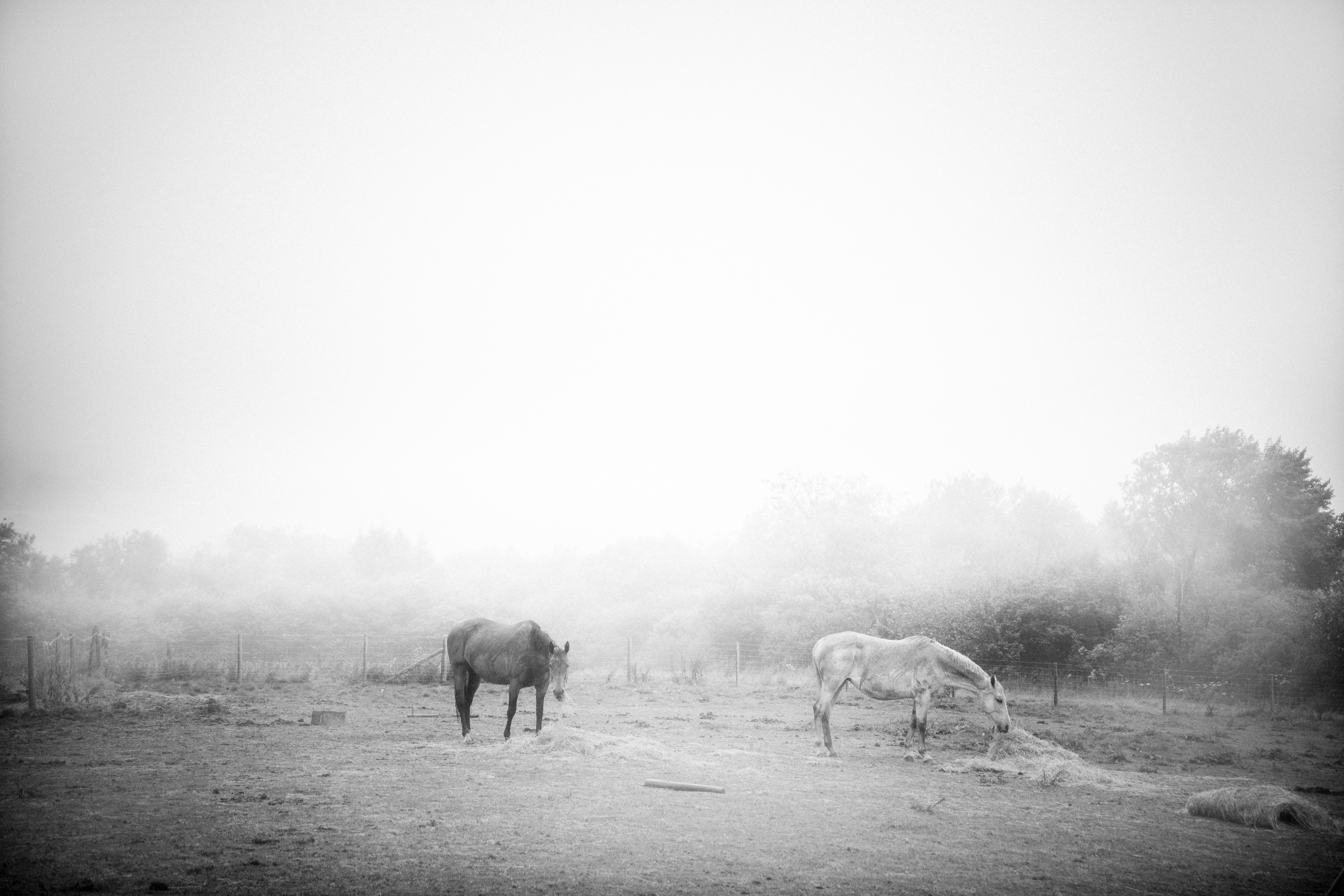 Photo by theret