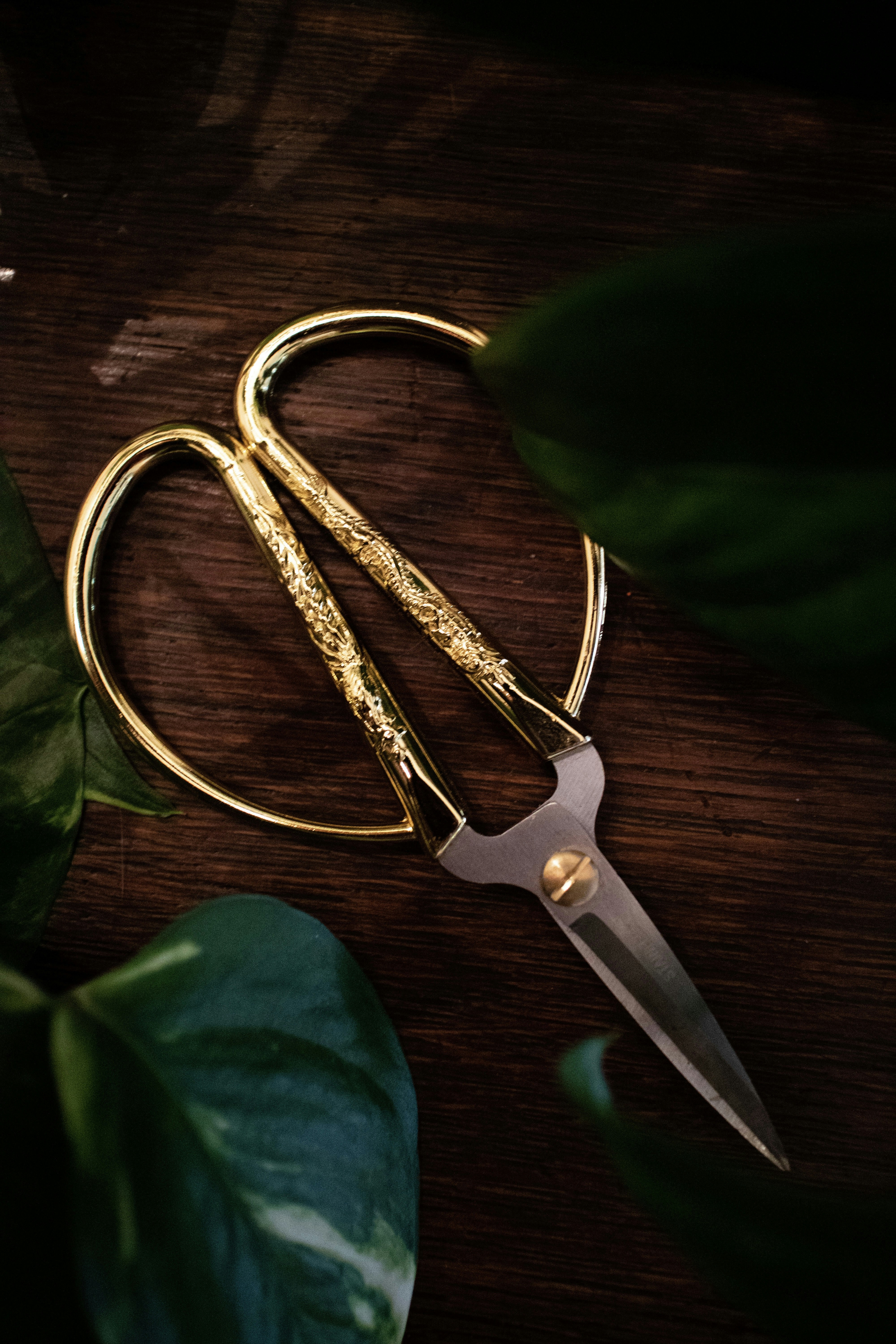 Reviewing In My Dreams I Hold A Knife Wordy And Whimsical