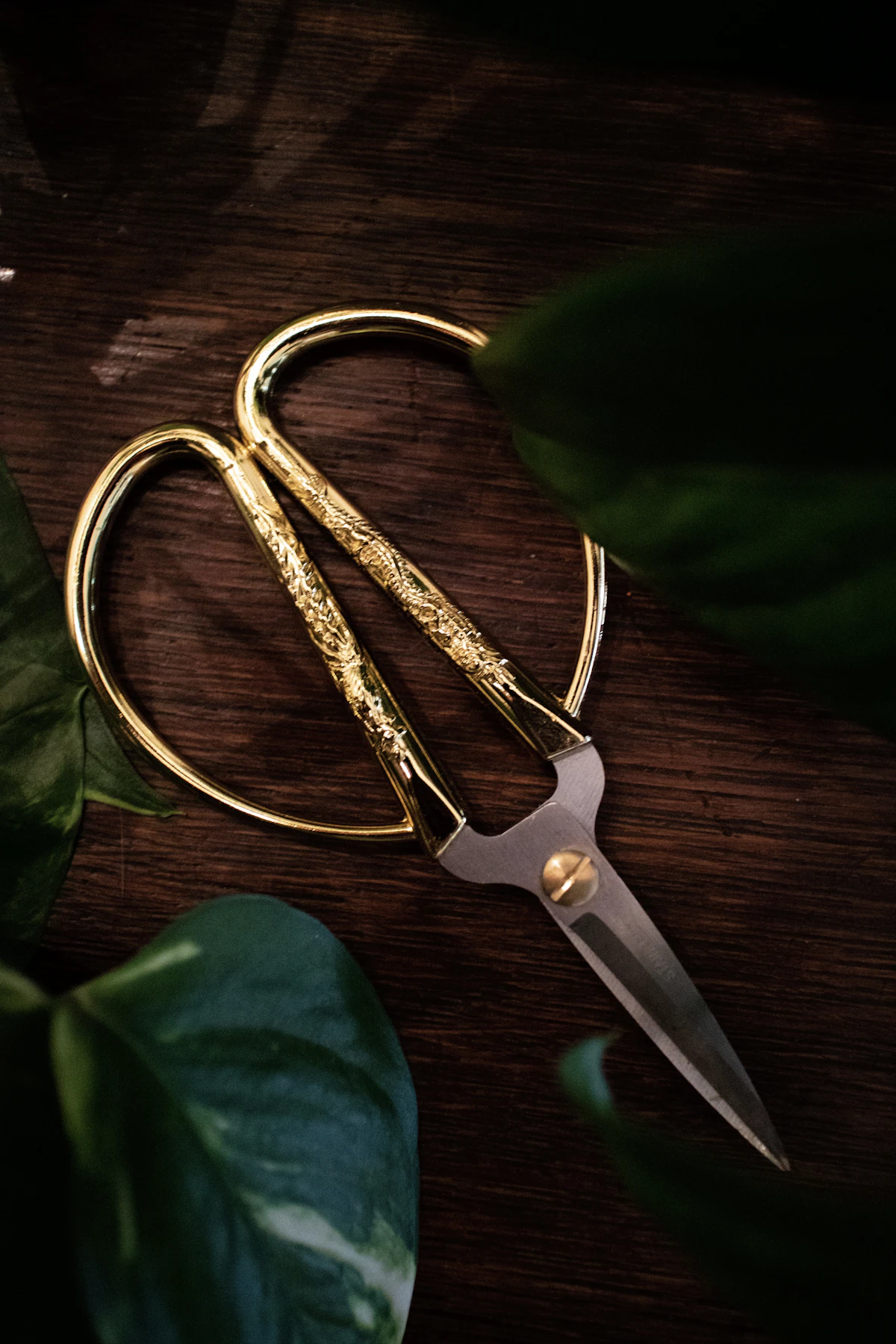 Pruning Basics
