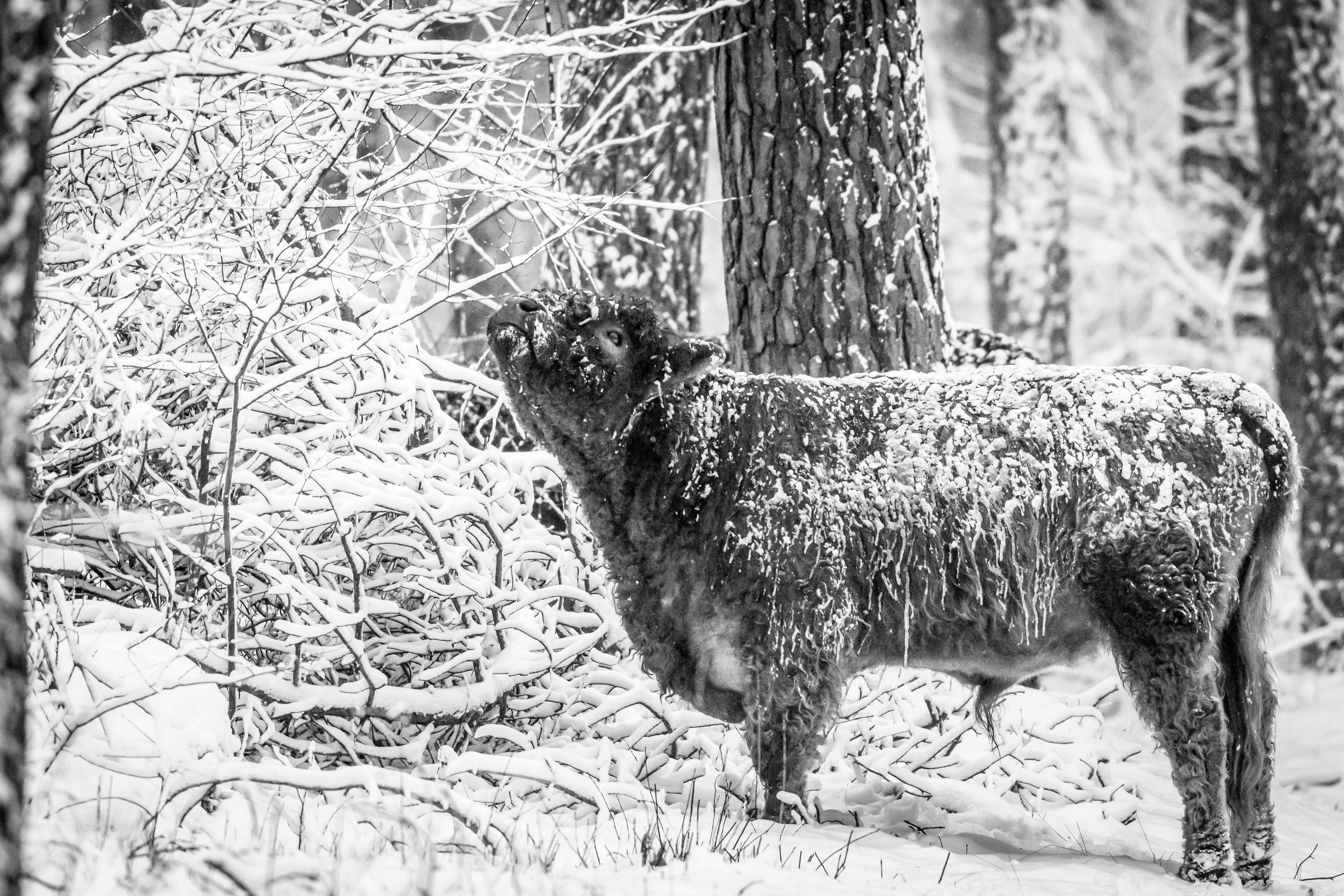 Photo by vincentvanzalinge