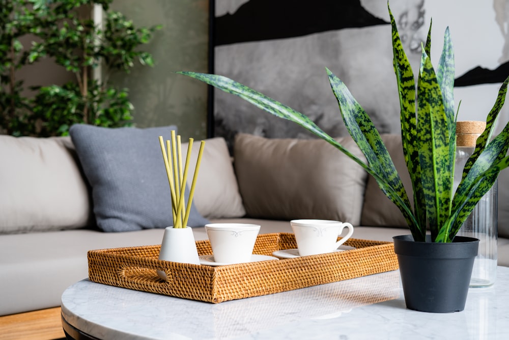 white and yellow ceramic cup on brown wooden table