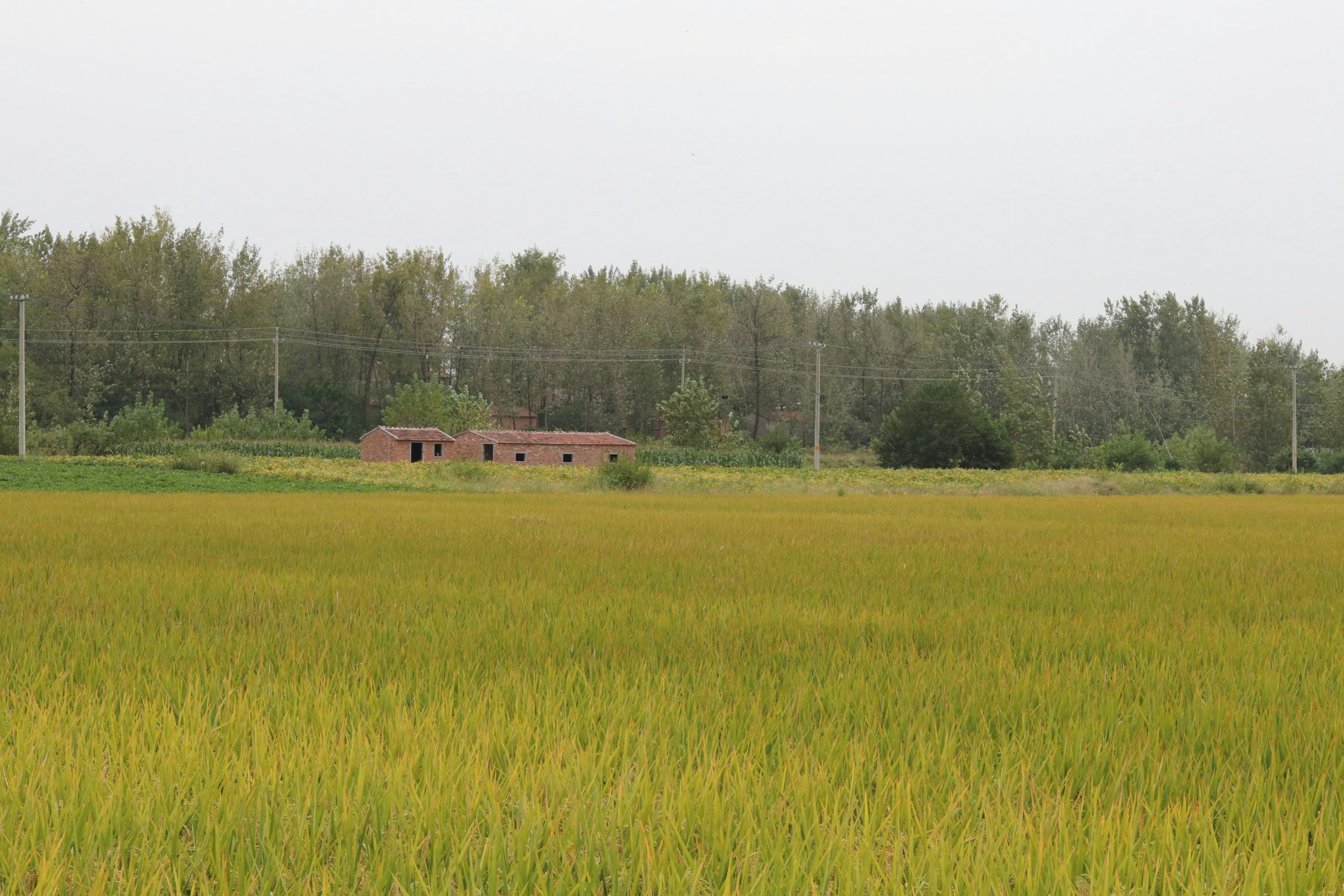 Sean Won ( sw0304) Unsplash 사진 커뮤니티 Sean Won ( sw0304) Unsplash 사진 커뮤니티