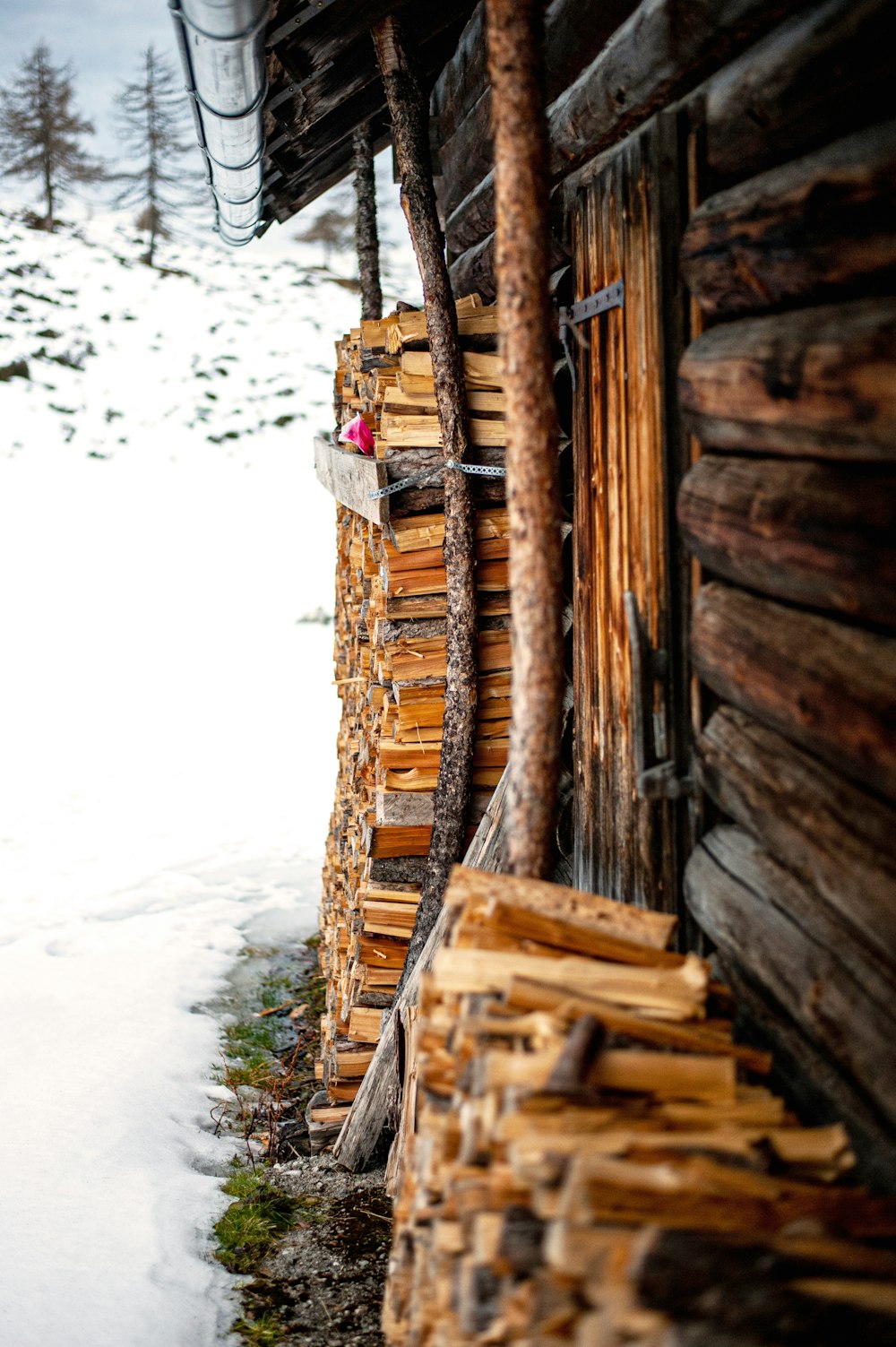 brown wooden fence on white sand during daytime